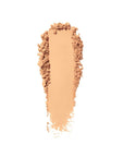 Shiseido Synchro Skin Self-Refreshing Custom Finish Powder Foundation